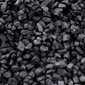 Coal