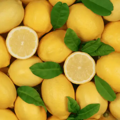Lemon - Instacompass International