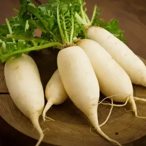 Radish-_3