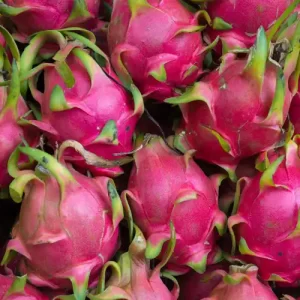 Dragon_Fruit