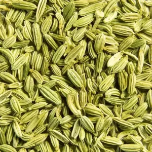 Fennel_Seeds