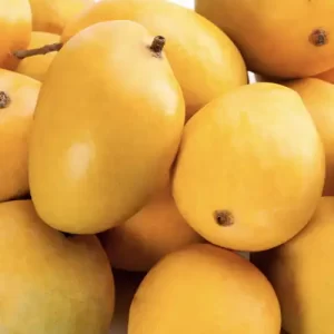 mangos